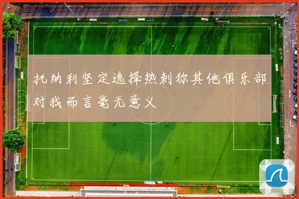 托纳利坚定选择热刺称其他俱乐部对我而言毫无意义
