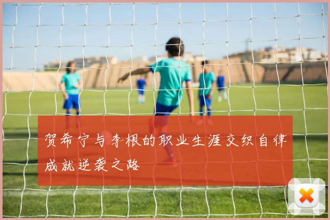 贺希宁与李根的职业生涯交织自律成就逆袭之路