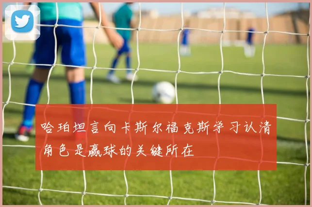 哈珀坦言向卡斯尔福克斯学习认清角色是赢球的关键所在
